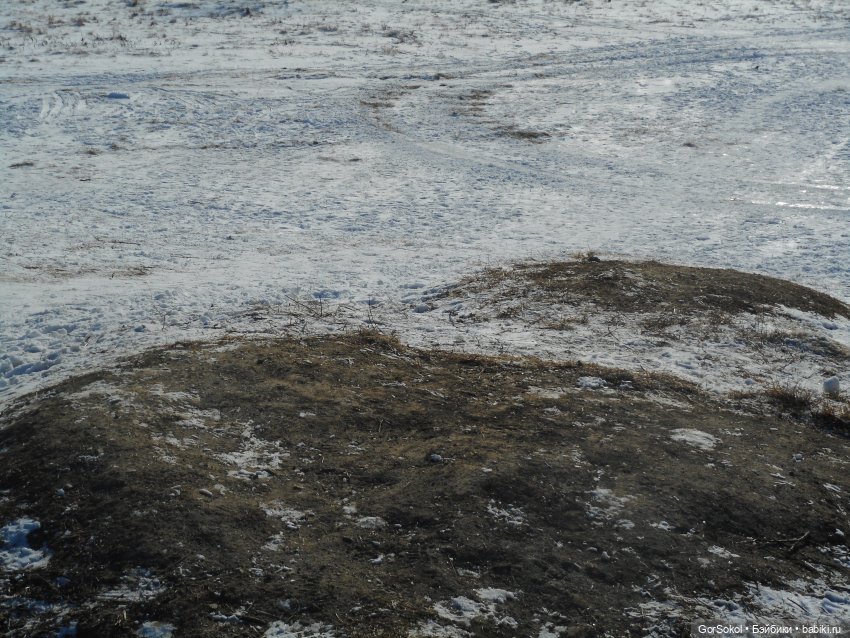 Странная находка — Розыск и находки: потерянные куклы