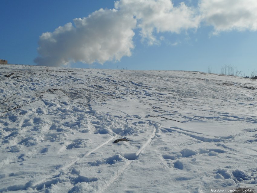 Странная находка — Розыск и находки: потерянные куклы (фото 4)