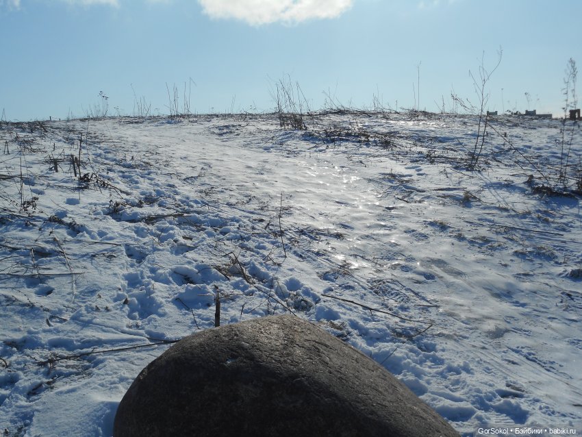 Странная находка — Розыск и находки: потерянные куклы (фото 5)