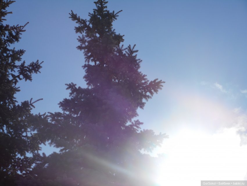 Странная находка — Розыск и находки: потерянные куклы (фото 7)