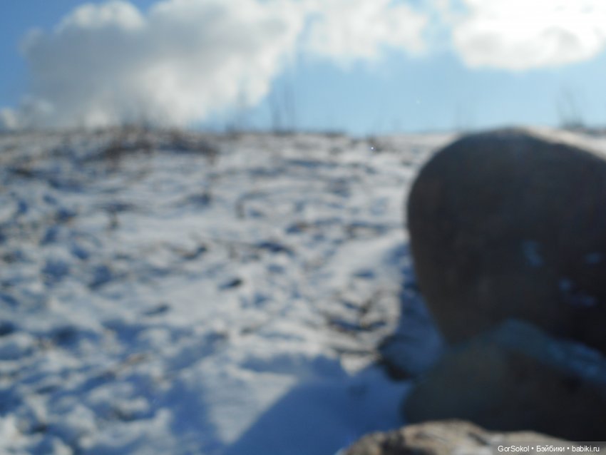 Странная находка — Розыск и находки: потерянные куклы