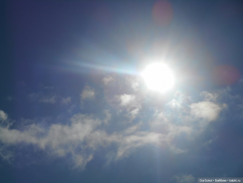 Странная находка — Розыск и находки: потерянные куклы