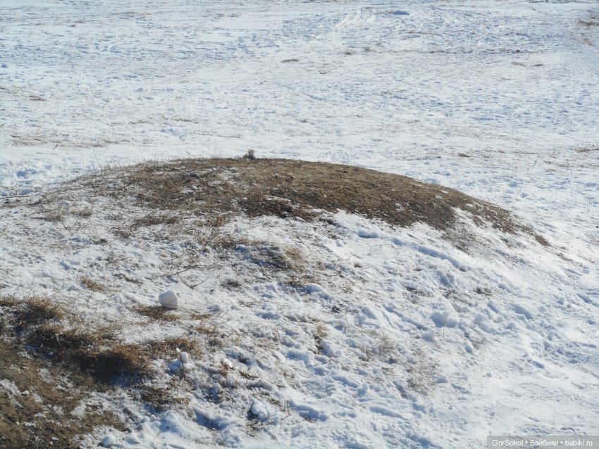 Странная находка — Розыск и находки: потерянные куклы