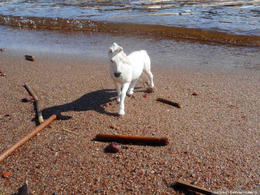 Лошади умеют плавать — Зарисовки из кукольной жизни: фотоистории (фото 6)