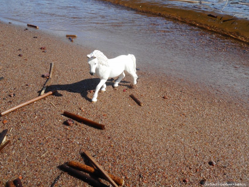 Лошади умеют плавать — Зарисовки из кукольной жизни: фотоистории