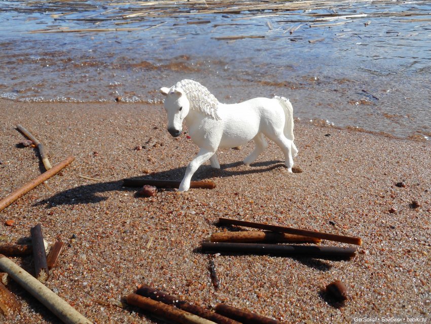 Лошади умеют плавать — Зарисовки из кукольной жизни: фотоистории (фото 10)