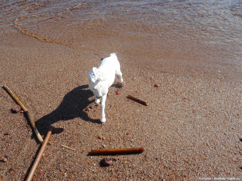 Лошади умеют плавать — Зарисовки из кукольной жизни: фотоистории (фото 2)