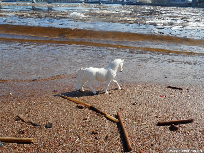 Лошади умеют плавать — Зарисовки из кукольной жизни: фотоистории (фото 3)