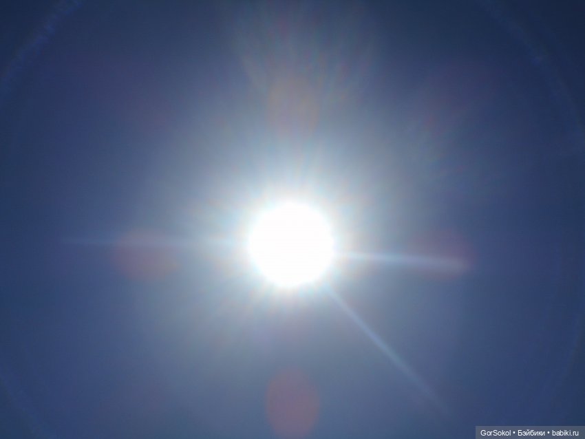 Лошади умеют плавать — Зарисовки из кукольной жизни: фотоистории