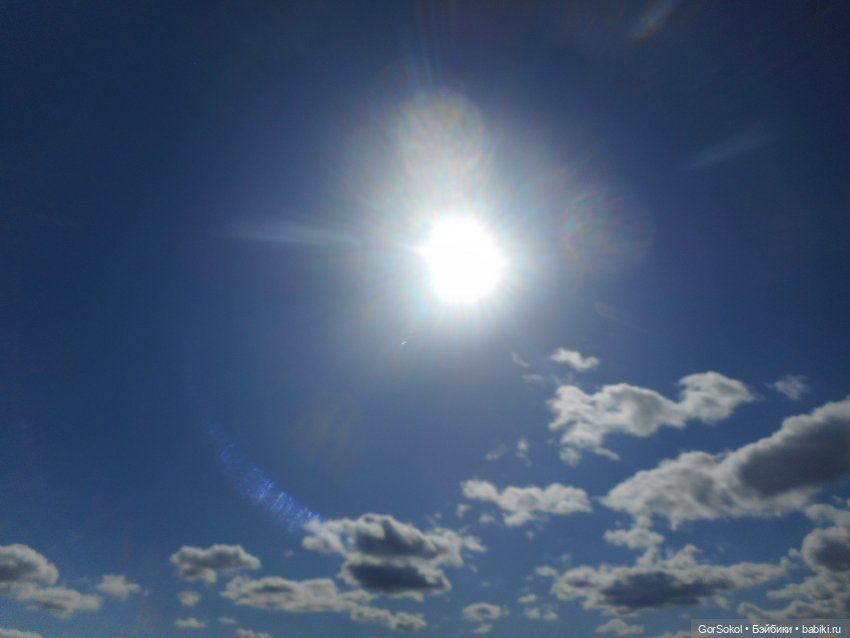 Лошади умеют плавать — Зарисовки из кукольной жизни: фотоистории (фото 4)