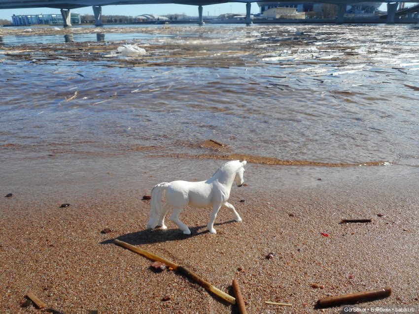 Лошади умеют плавать — Зарисовки из кукольной жизни: фотоистории (фото 8)