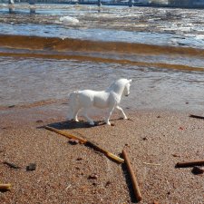 Лошади умеют плавать