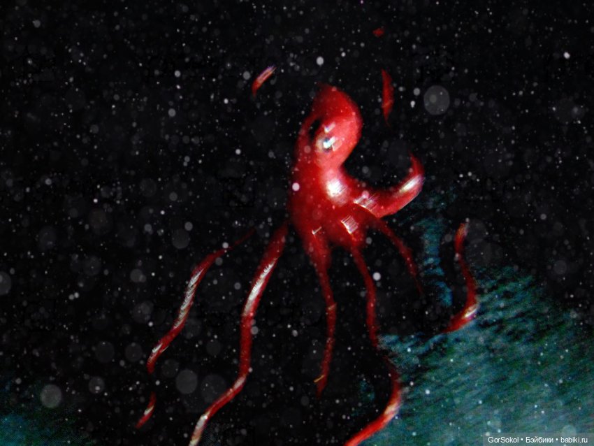 Её лавандовый дневник 4 серия (фото 9)