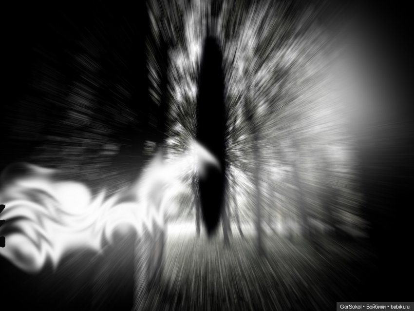 Землячество 3 серия — Зарисовки из кукольной жизни: фотоистории (фото 6)