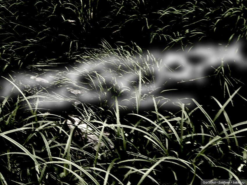 Землячество 3 серия — Зарисовки из кукольной жизни: фотоистории (фото 7)