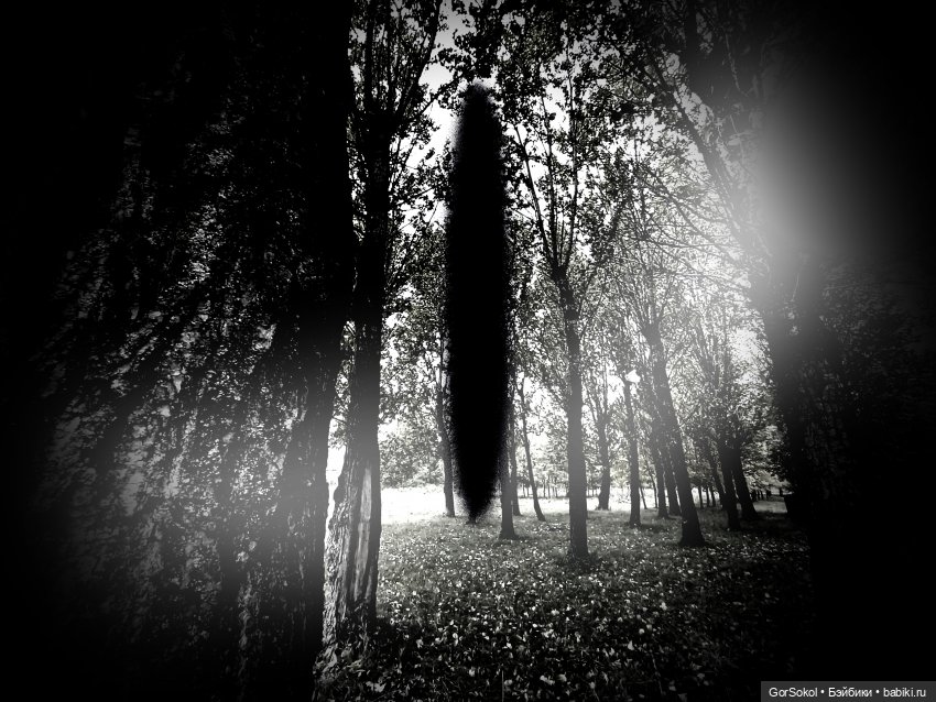 Землячество 3 серия — Зарисовки из кукольной жизни: фотоистории (фото 4)