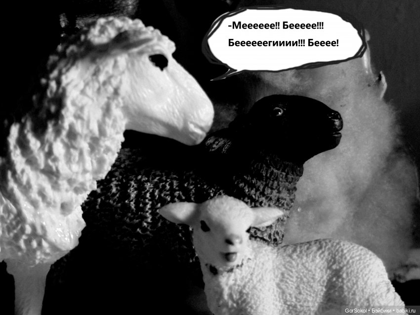 Землячество 4 серия — Зарисовки из кукольной жизни: фотоистории