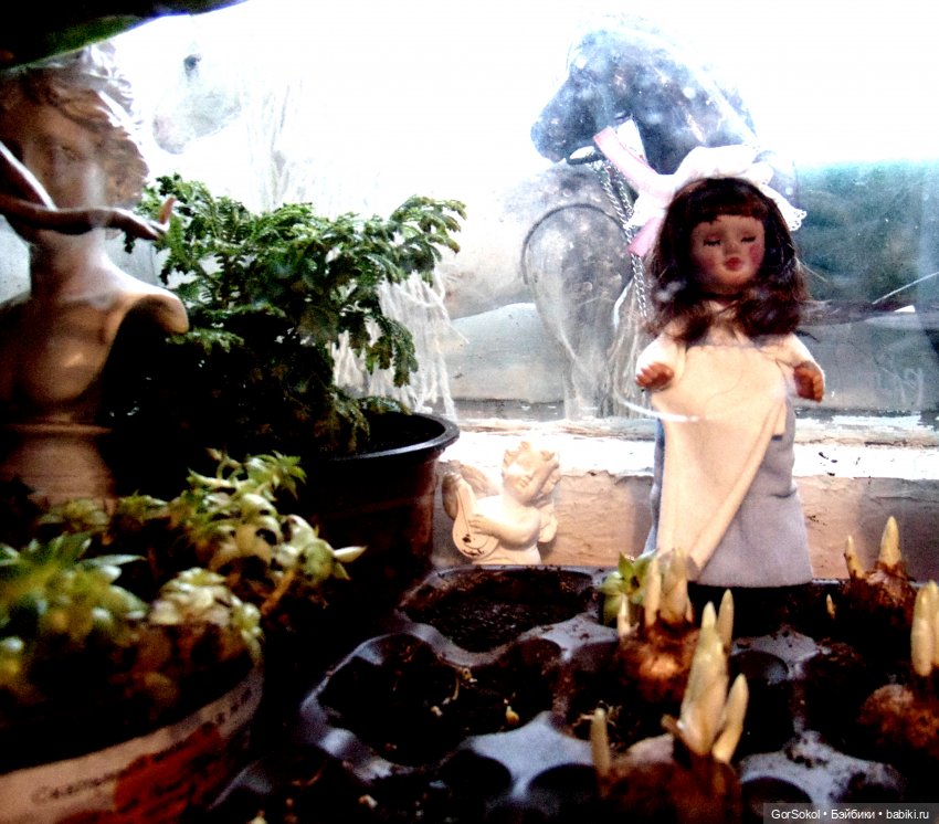 Маргарита и Эстер — Зарисовки из кукольной жизни: фотоистории (фото 6)