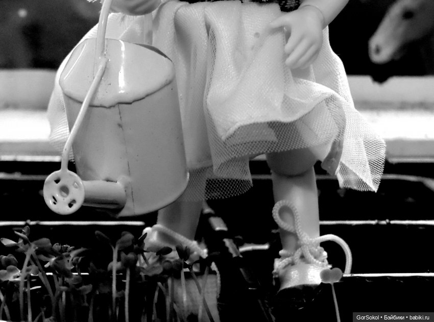 Демиург (финал) — Зарисовки из кукольной жизни: фотоистории