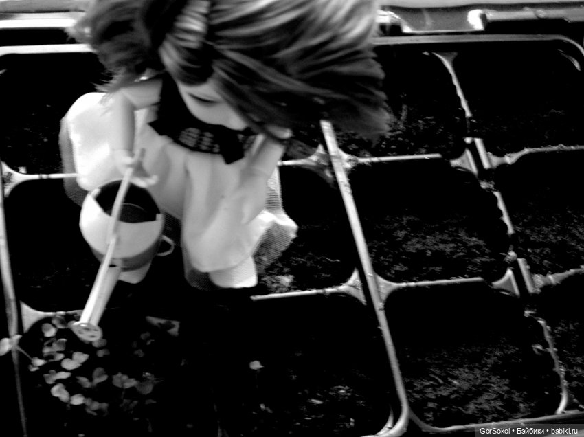 Демиург (финал) — Зарисовки из кукольной жизни: фотоистории (фото 2)