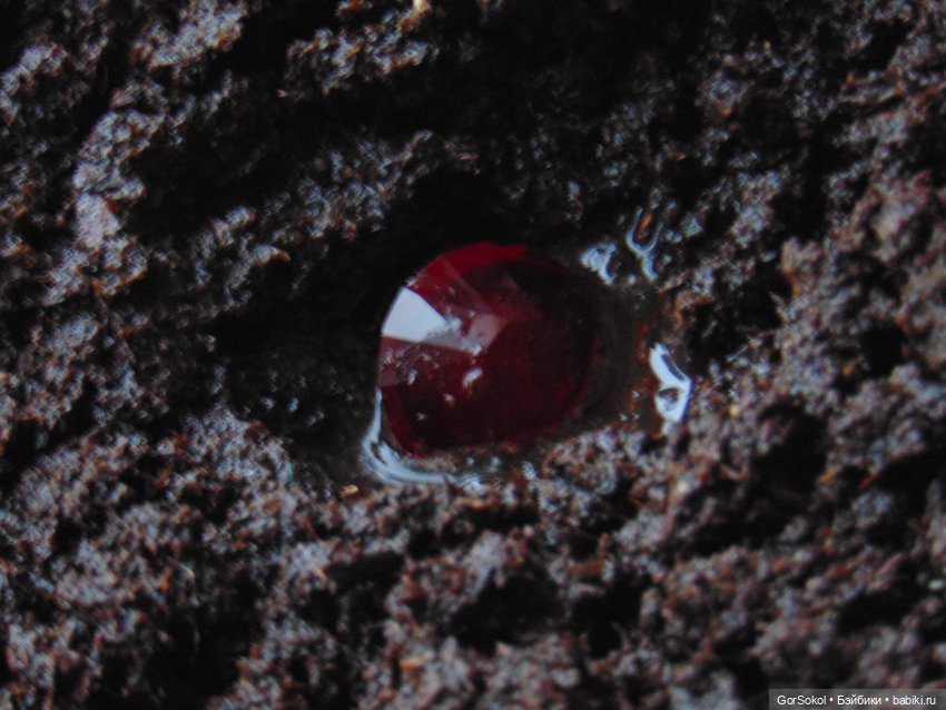 Цивилизация часть3 — Зарисовки из кукольной жизни: фотоистории