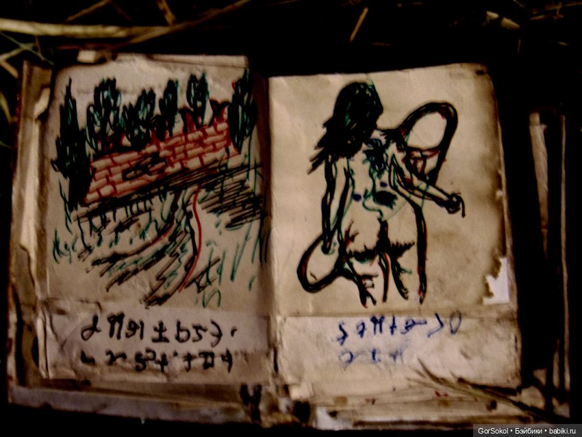 Новости культуры Эмбервиля