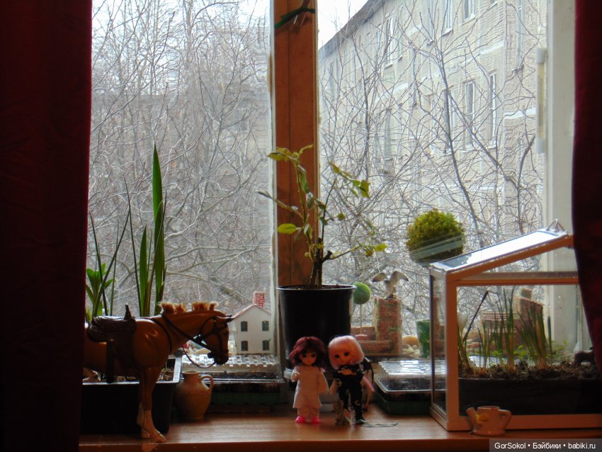 Пока за ними никто не наблюдает