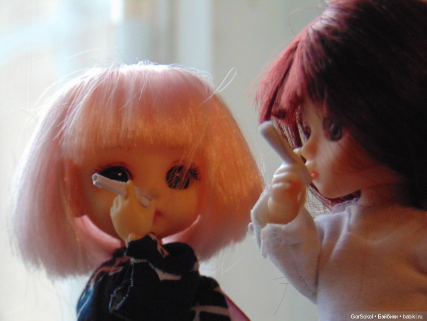 Пока за ними никто не наблюдает