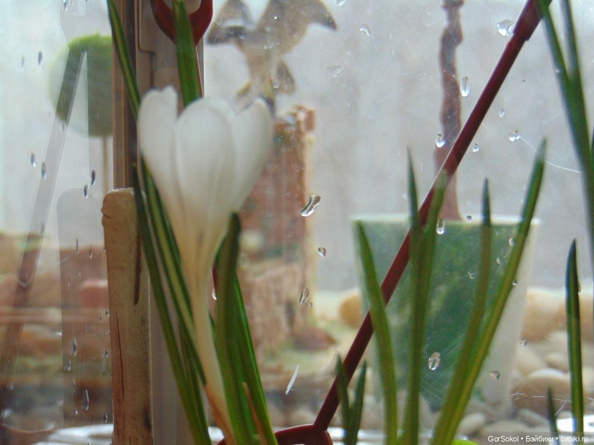 Пока за ними никто не наблюдает (фото 9)