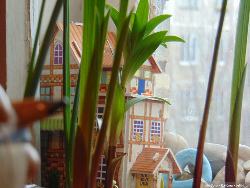 Пока за ними никто не наблюдает (фото 4)