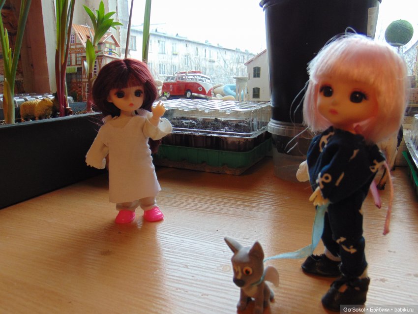 Пока за ними никто не наблюдает (фото 10)