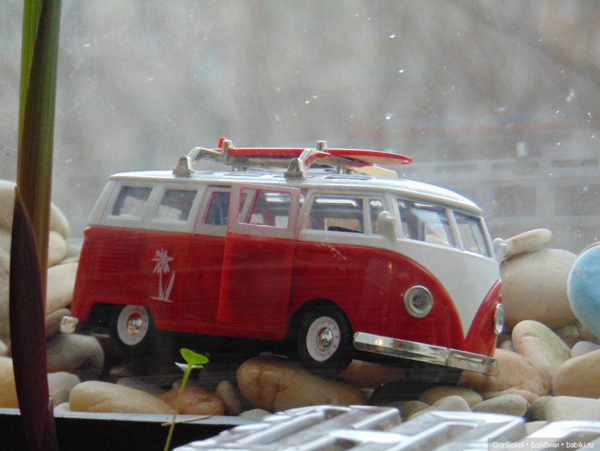 Пока за ними никто не наблюдает (фото 3)