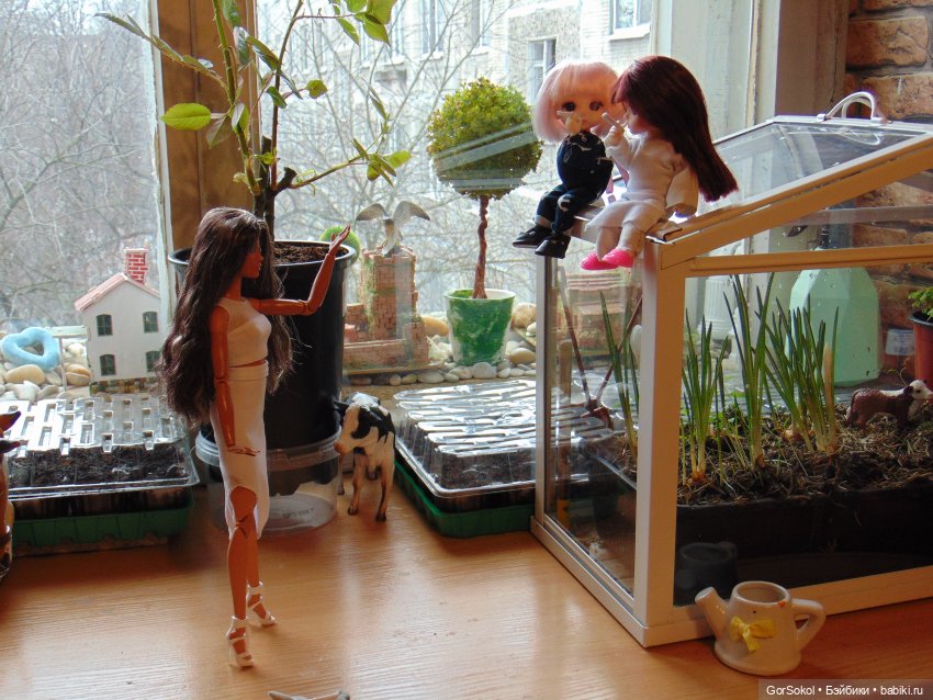 Пока за ними никто не наблюдает