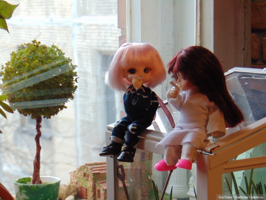 Пока за ними никто не наблюдает