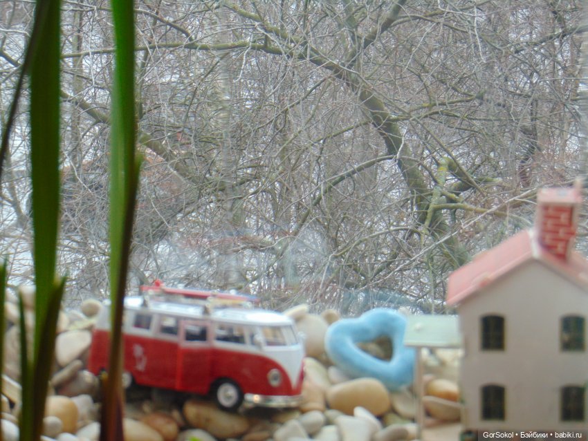 Пока за ними никто не наблюдает