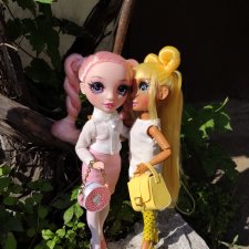 Знакомство с Беллой