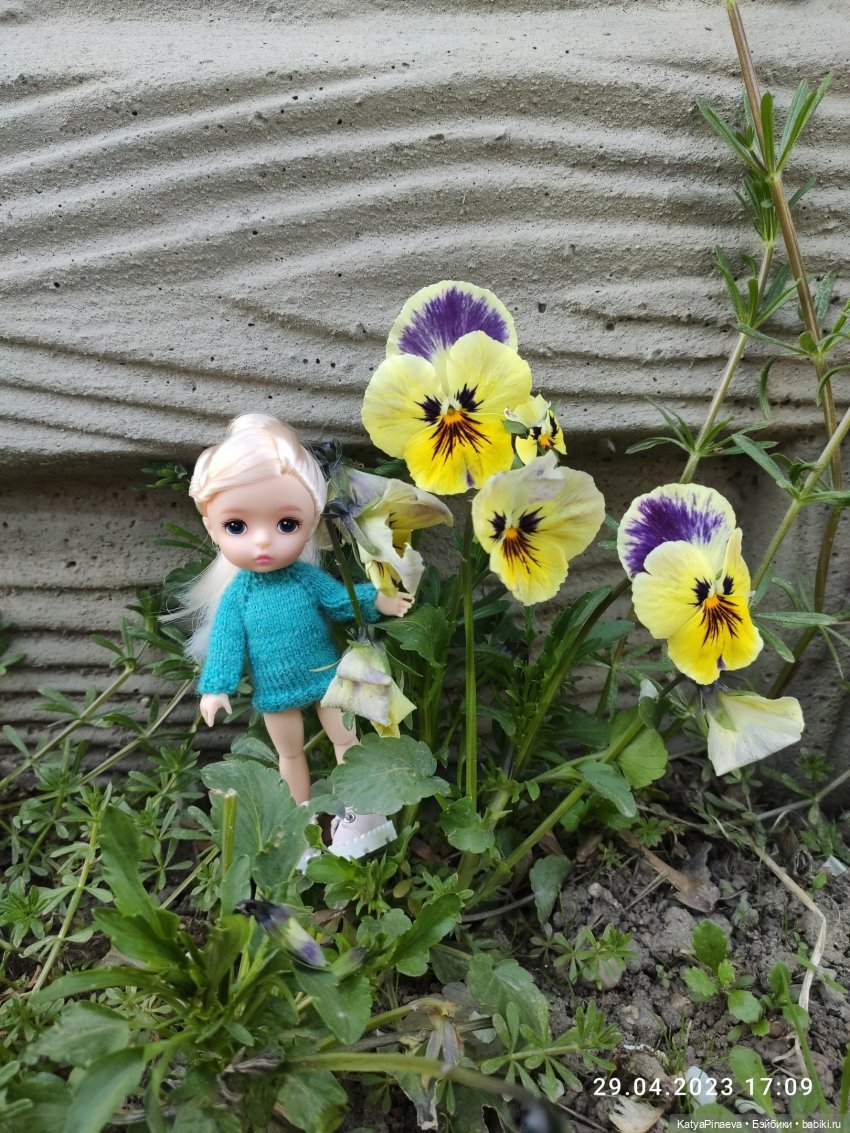 Мальчик-с-пальчик и Дюймовочка (фото 6)