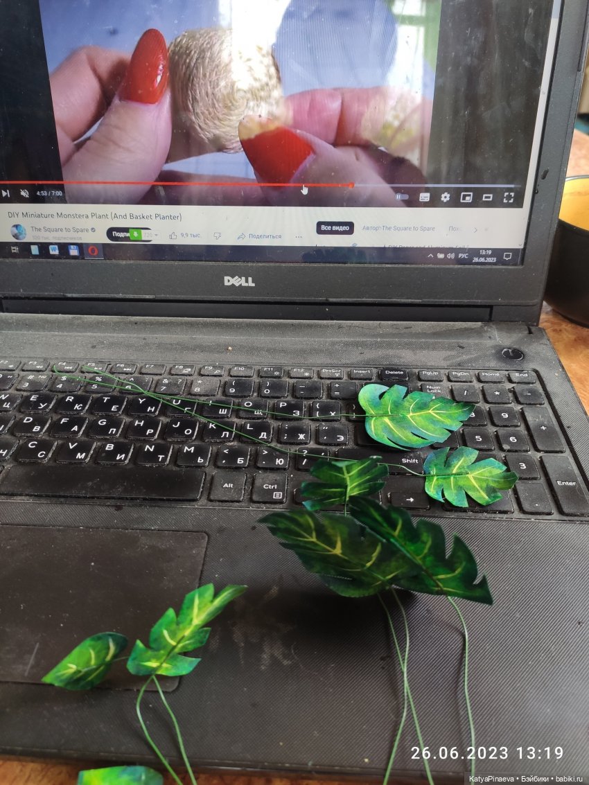 Мое первое растение — Кукольная миниатюра своими руками: еда (фото 2)