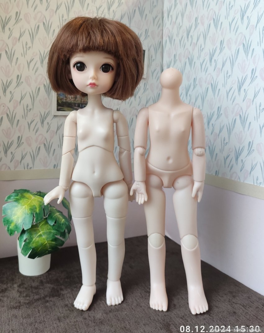 Новое тельце для девочки — Куклы Baboliy (Баболи (фото 8)