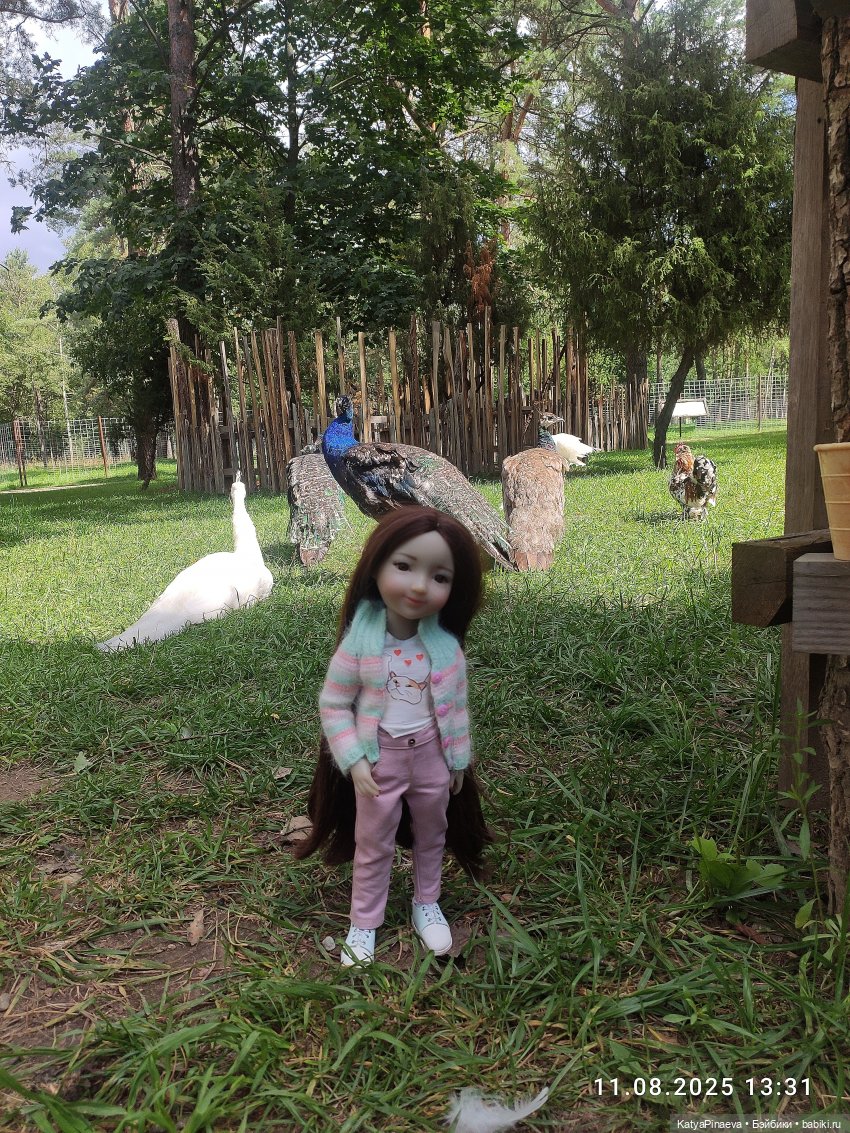 Парк животных " Диприз" вторая локация