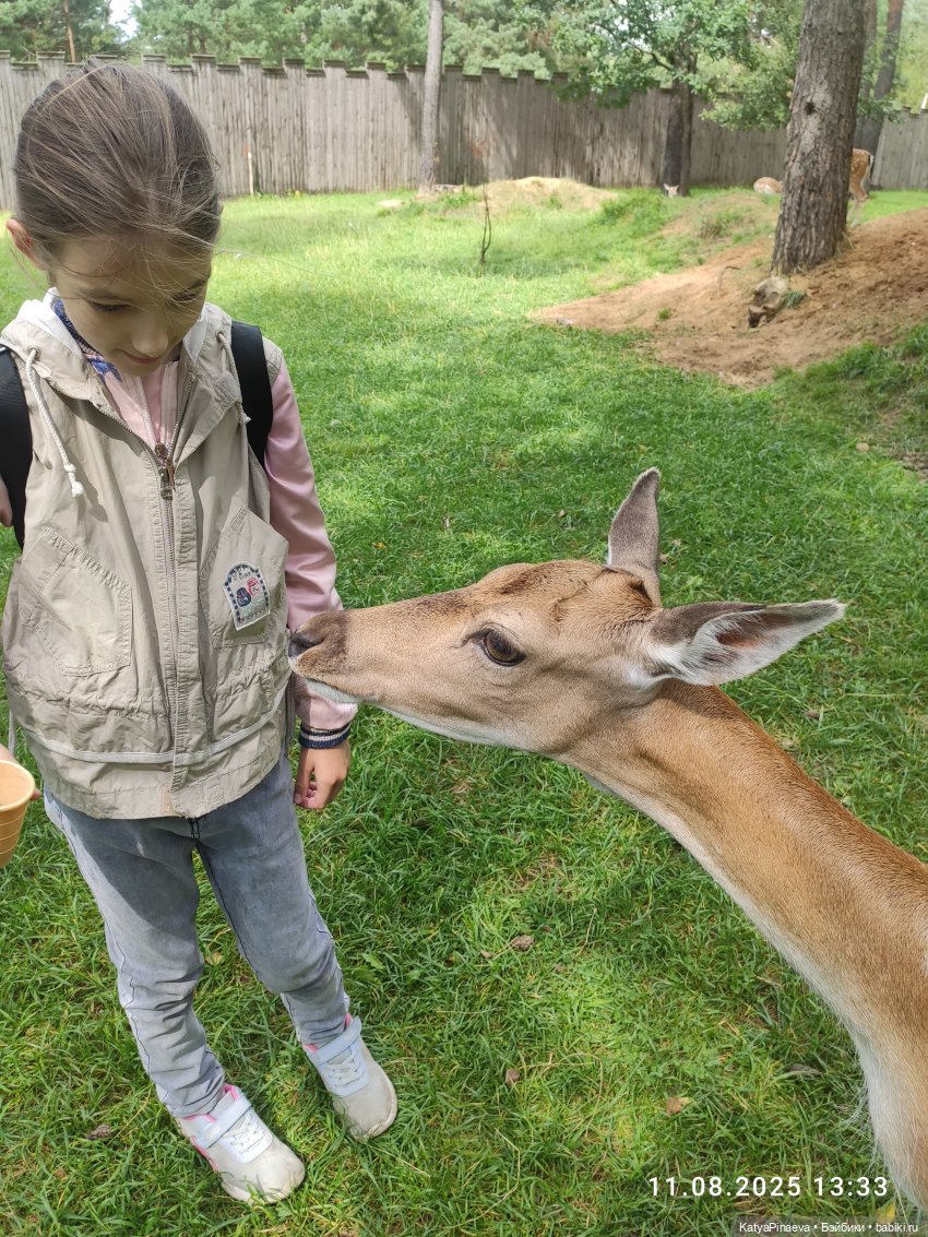 Парк животных " Диприз" вторая локация
