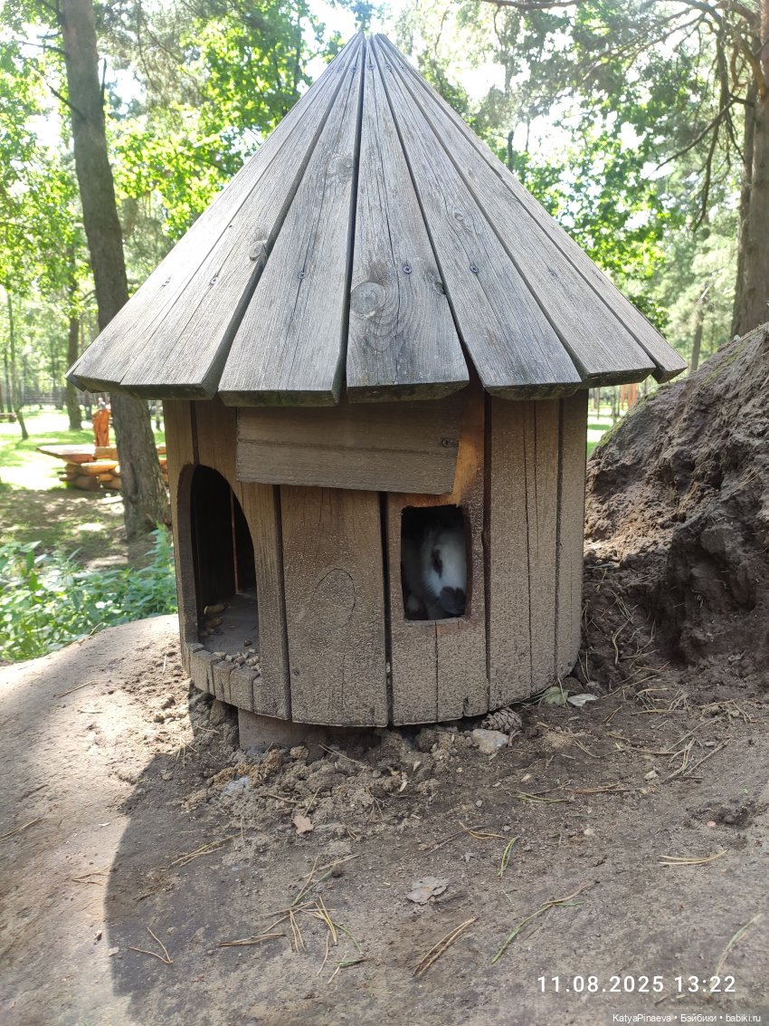 Парк животных " Диприз" вторая локация