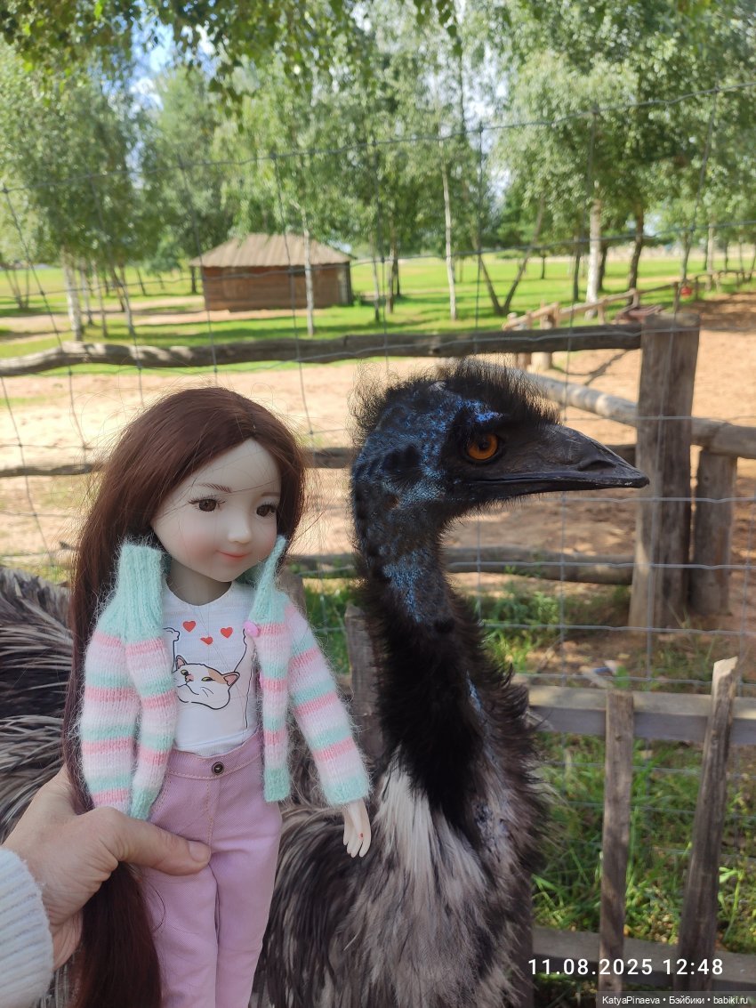 Парк животных " Диприз" вторая локация (фото 6)