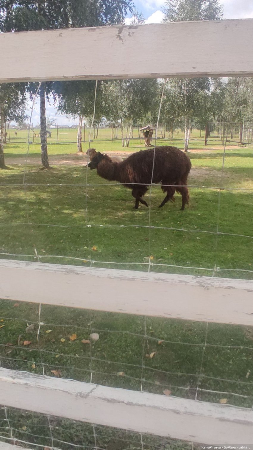 Парк животных " Диприз" вторая локация (фото 5)