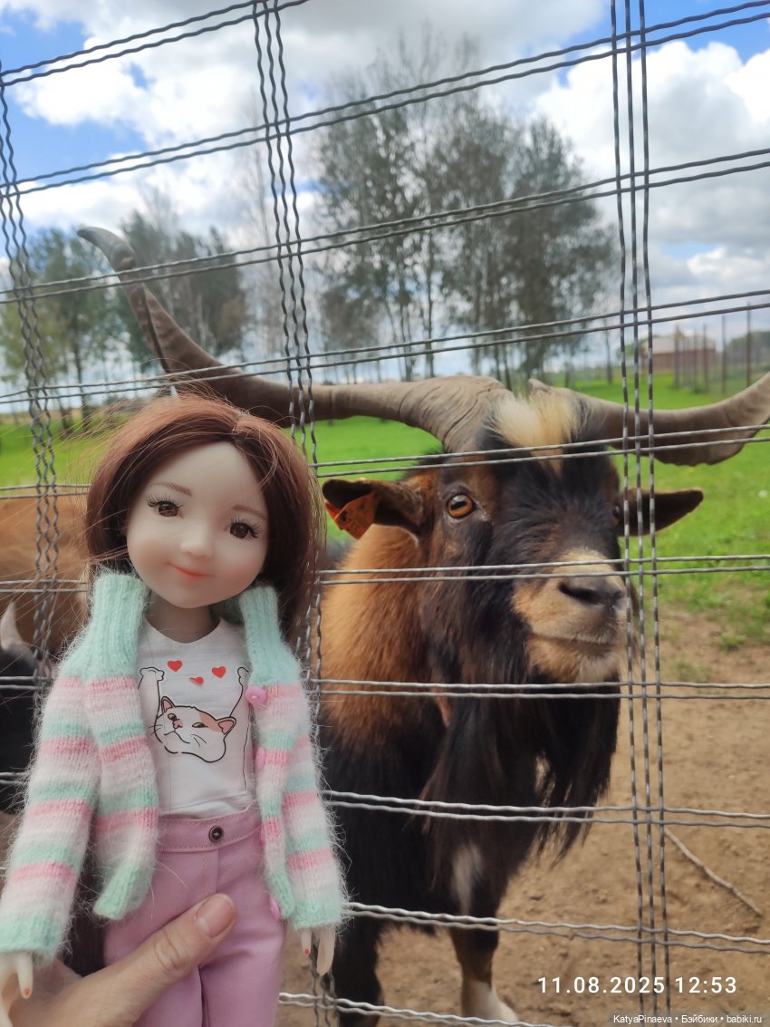 Парк животных " Диприз" вторая локация (фото 7)