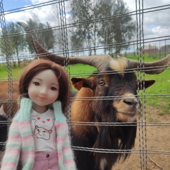 парк животных " Диприз" вторая локация