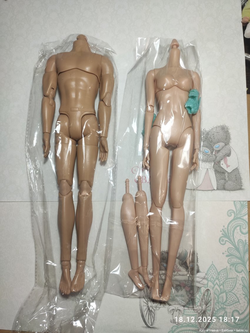 Одилька и Софи получили новые тела (фото 2)