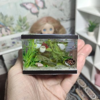 аквариум, мой первый блин местами очень комом