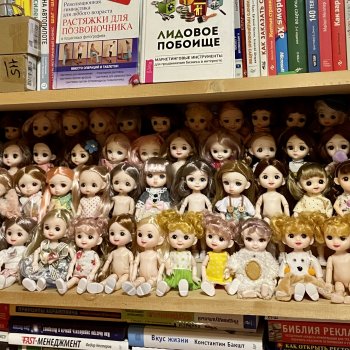 Моя коллекция куколок