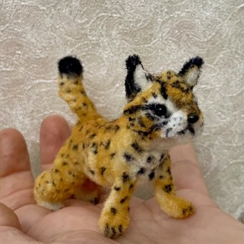 Мой новенький